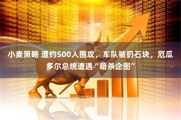 小麦策略 遭约500人围攻，车队被扔石块，厄瓜多尔总统遭遇“暗杀企图”