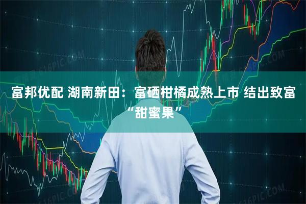 富邦优配 湖南新田：富硒柑橘成熟上市 结出致富“甜蜜果”