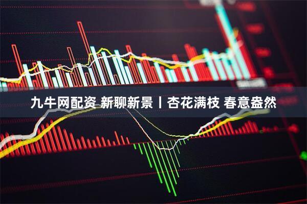 九牛网配资 新聊新景丨杏花满枝 春意盎然